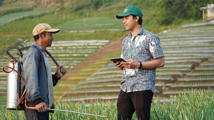 Terungkap! Alasan Anak Muda RI Kurang Minat di Sektor Pertanian